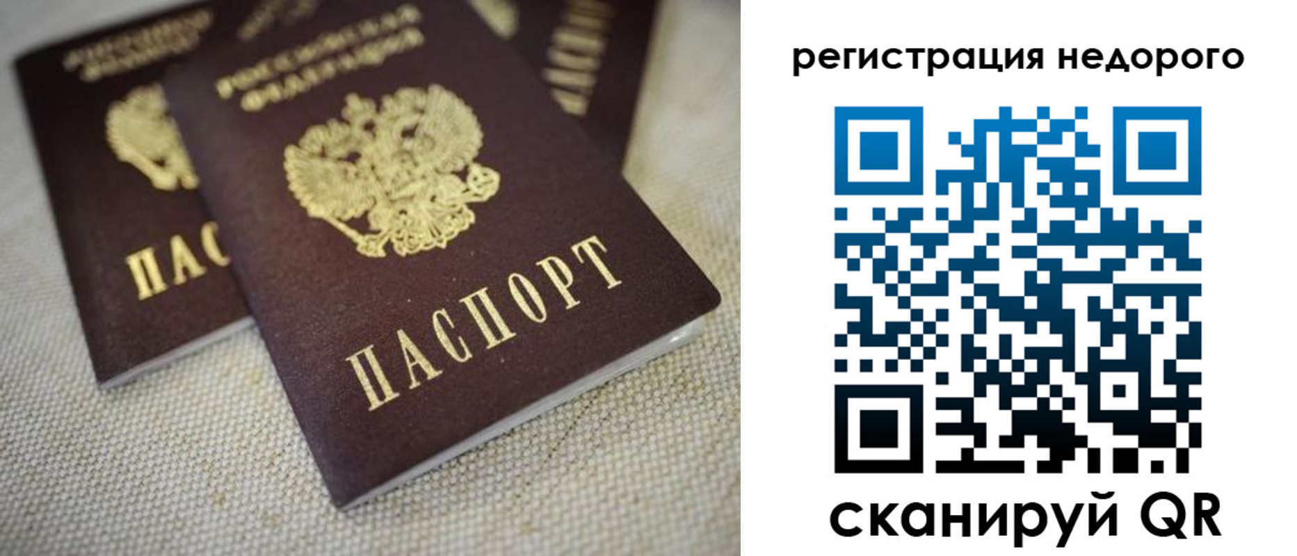 временная регистрация гарантия в Александрове